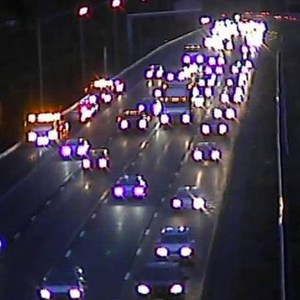 欧美黑人巨大videos精
