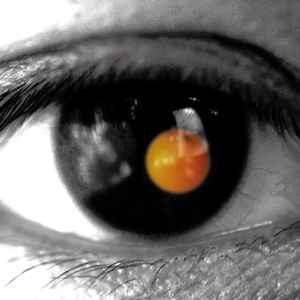 欧美黑人巨大videos精
