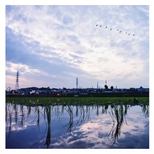 欧美黑人巨大videos精
